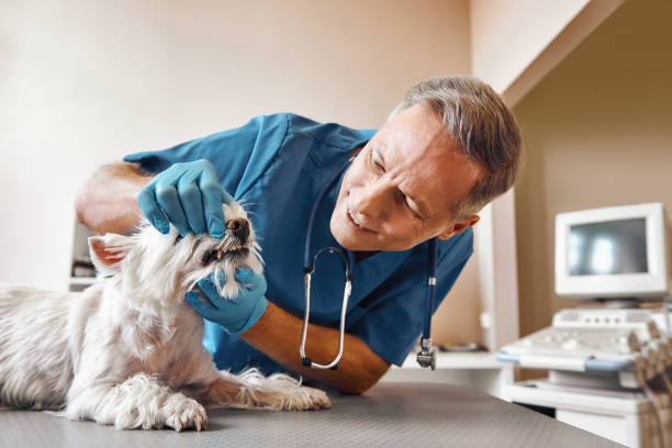 Best Walk-In Emergency Dentist in Northfield, NJ
